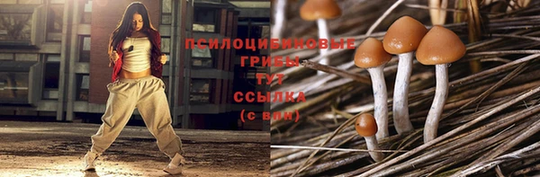 mdpv Бугульма