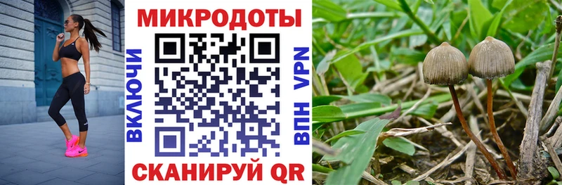 Галлюциногенные грибы MAGIC MUSHROOMS  мега рабочий сайт  Кириши 